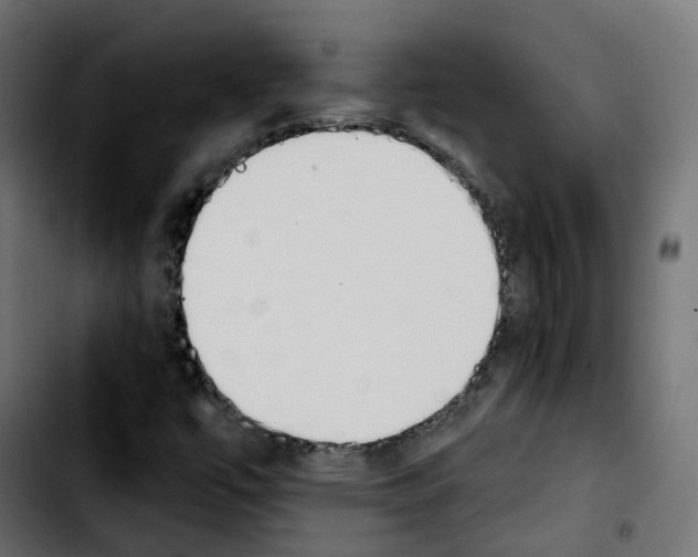 X0000103931447200810311506