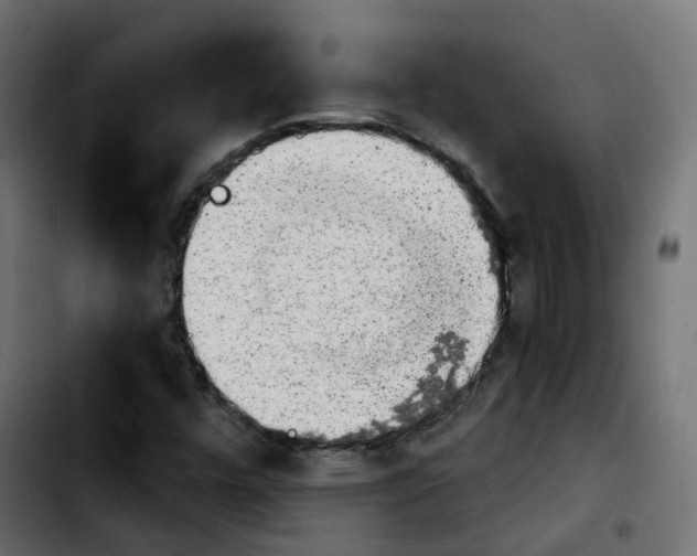X0000103931448200810311506