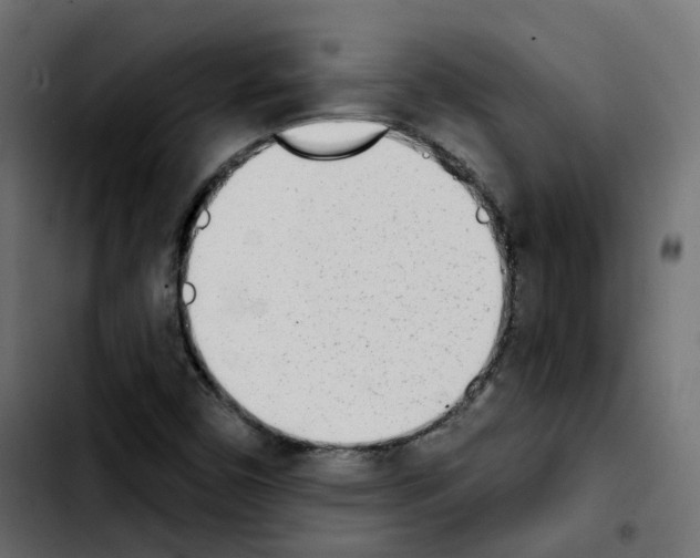 X0000103931450200810311506