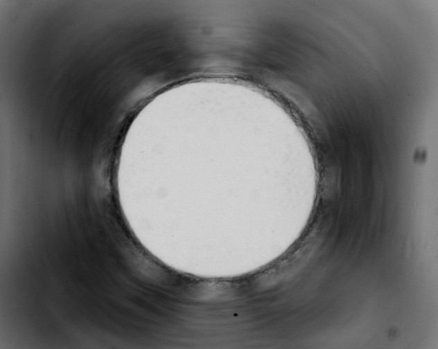 X0000103931451200810311506