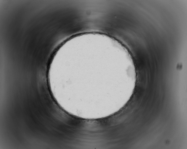 X0000103931452200810311506