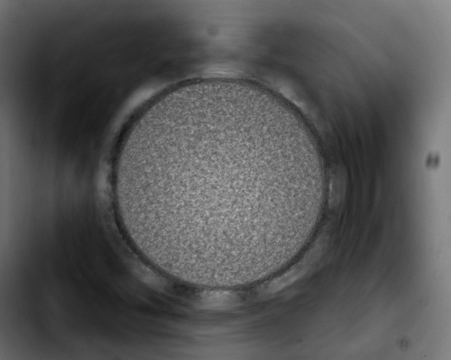 X0000103931454200810311506