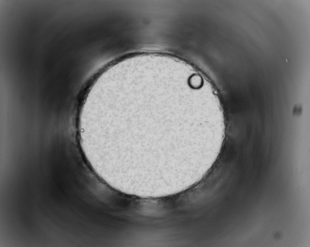 X0000103931456200810311506