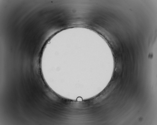 X0000103931458200810311506