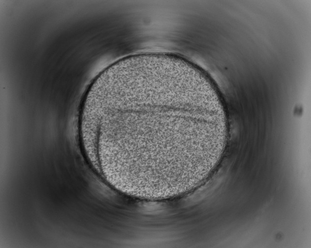 X0000103931459200810311506