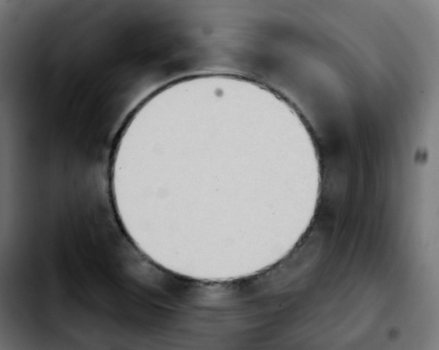 X0000103931460200810311506