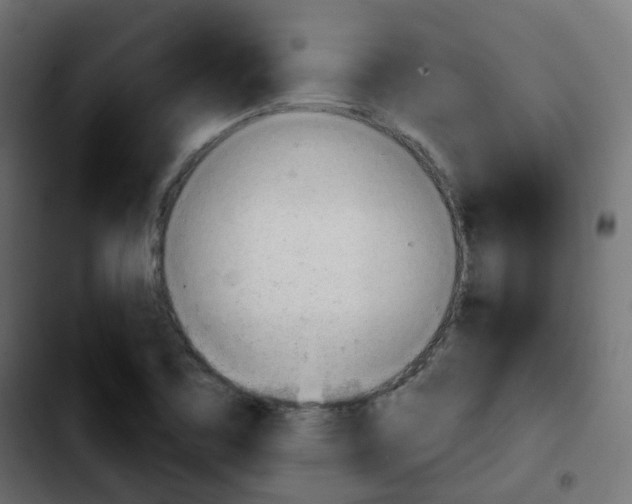 X0000103931461200810311506