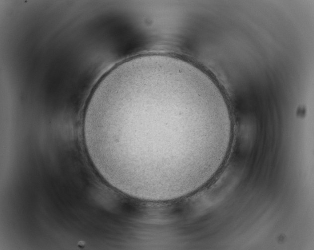 X0000103931465200810311506