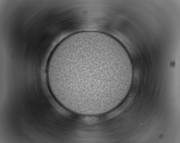 X0000103931466200810311506