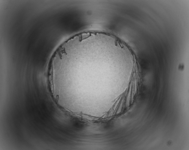 X0000103931469200810311506