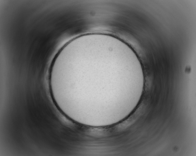 X0000103931470200810311506