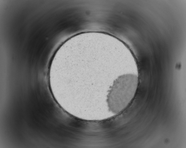 X0000103931472200810311506