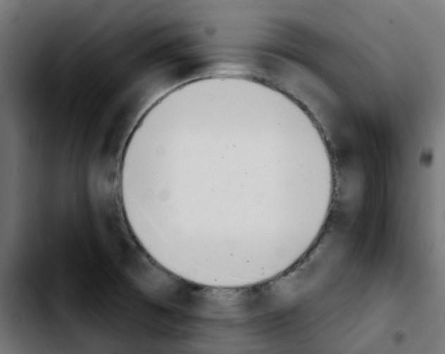 X0000103931473200810311506