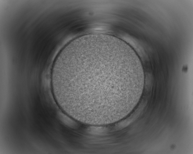 X0000103931474200810311506