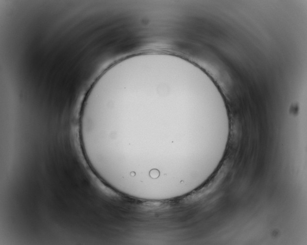 X0000103931478200810311506
