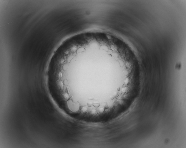 X0000103931479200810311506