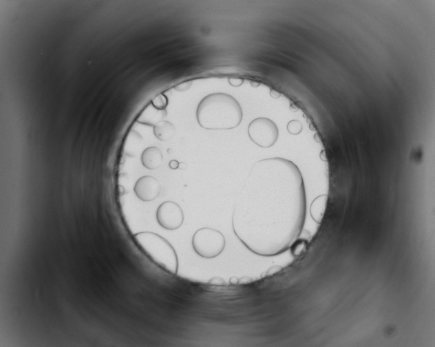 X0000103931483200810311505