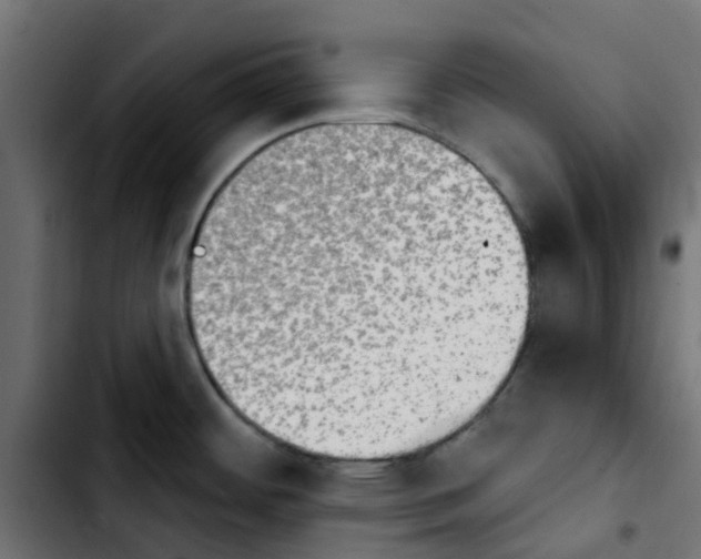 X0000103931484200810311505