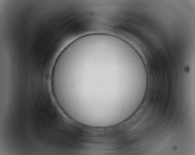 X0000103931485200810311505
