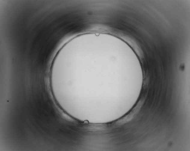 X0000103931486200810311505