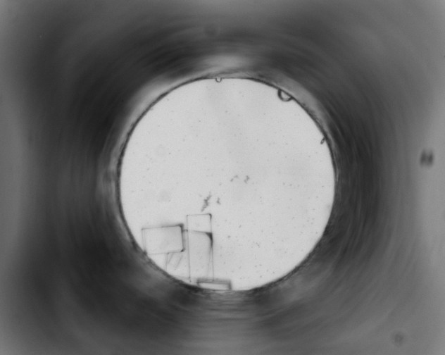 X0000103931488200810311505