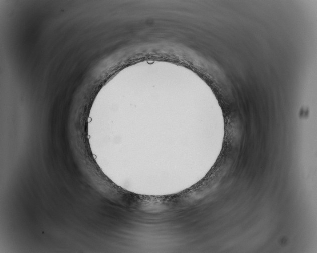 X0000103931489200810311505