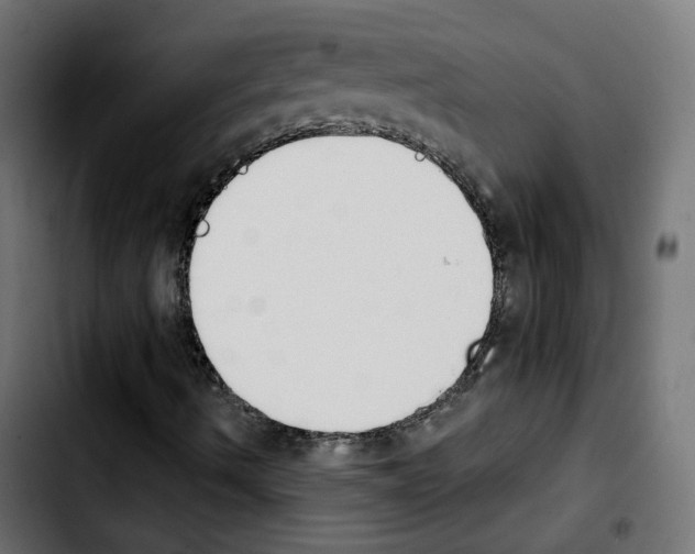X0000103931490200810311505