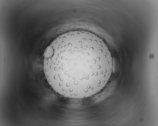 X0000103931491200810311505