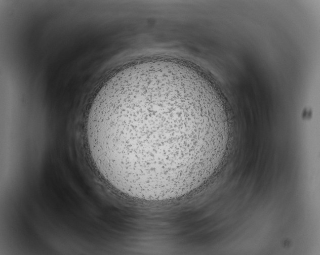 X0000103931492200810311505