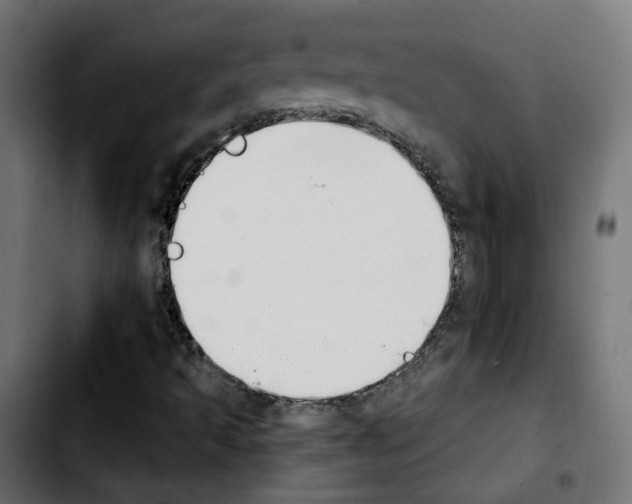 X0000103931493200810311505