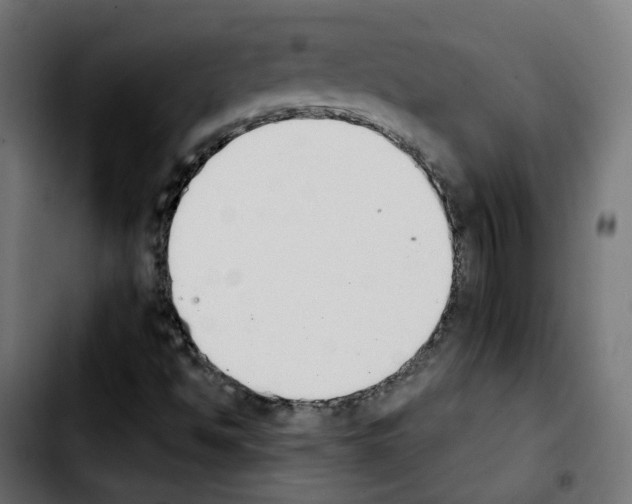X0000103931494200810311505