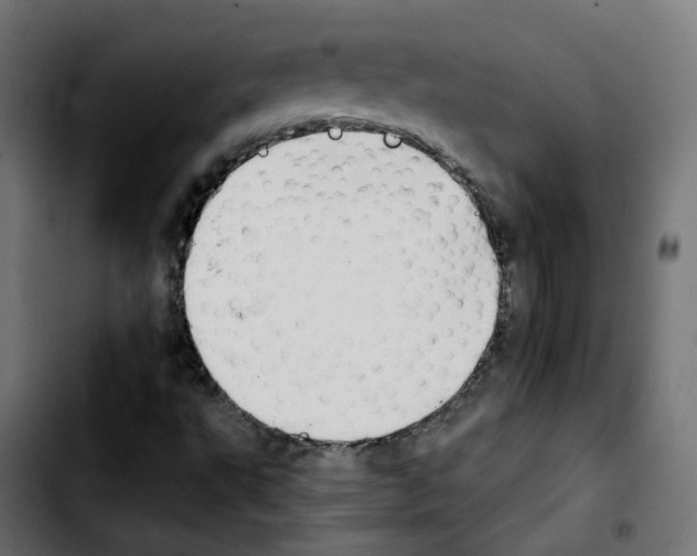 X0000103931495200810311505