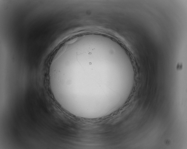 X0000103931496200810311505