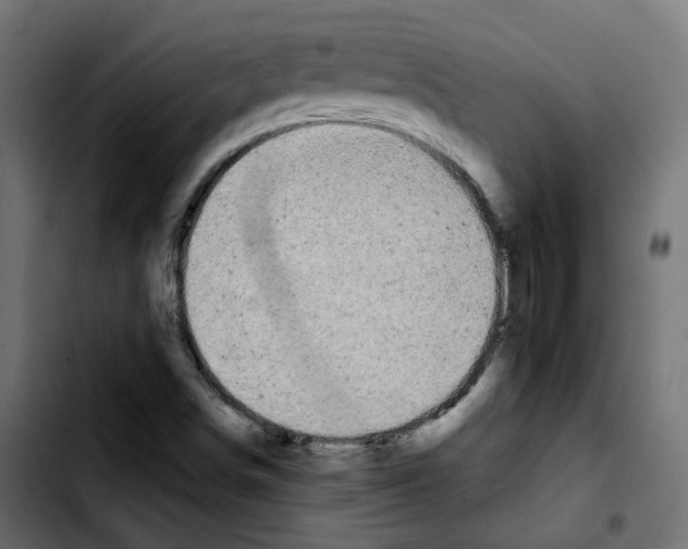 X0000103931498200810311505