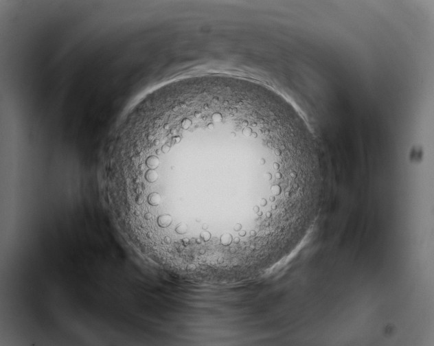 X0000103931499200810311505