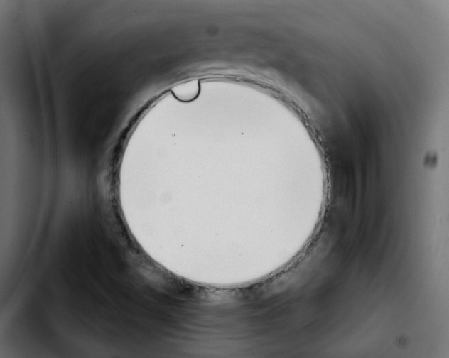 X0000103931501200810311505