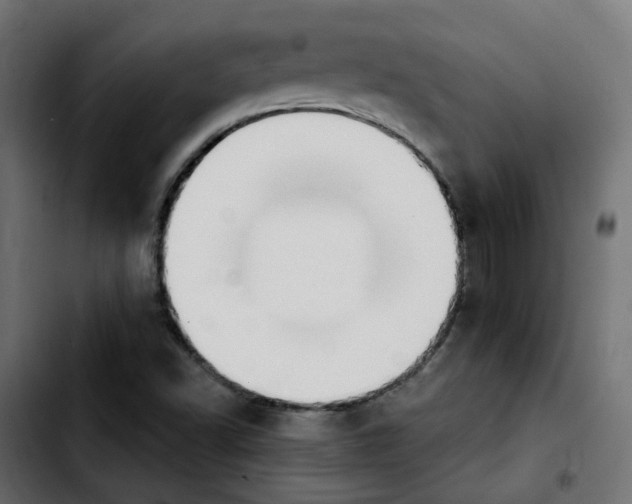 X0000103931502200810311505