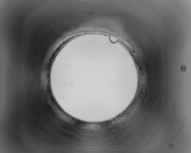 X0000103931503200810311505