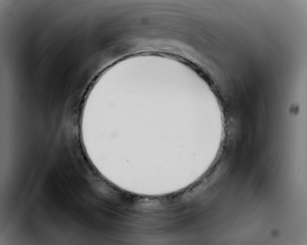 X0000103931505200810311505