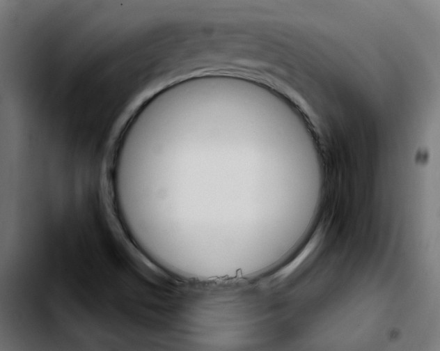 X0000103931506200810311505