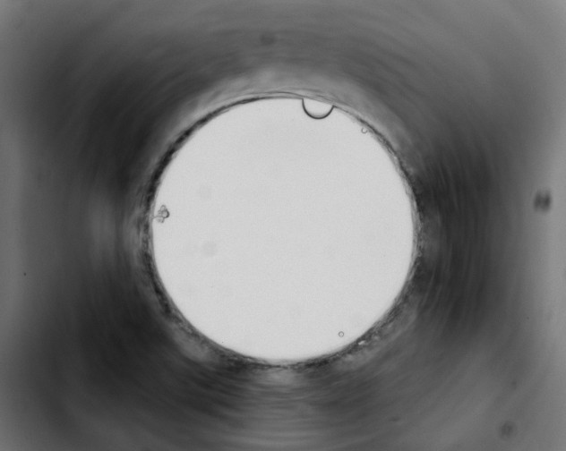 X0000103931507200810311505