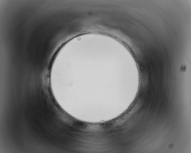 X0000103931509200810311505