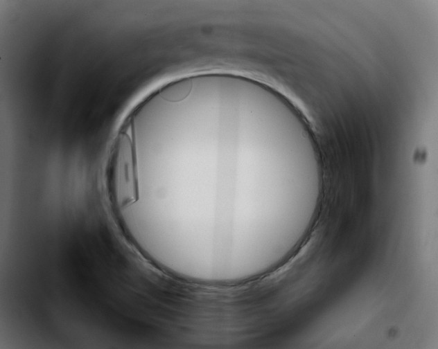 X0000103931510200810311505