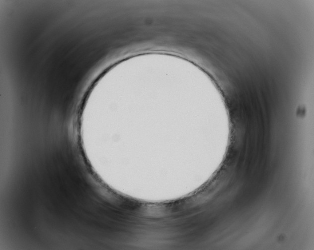 X0000103931511200810311505