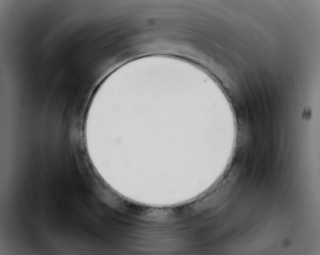 X0000103931513200810311505
