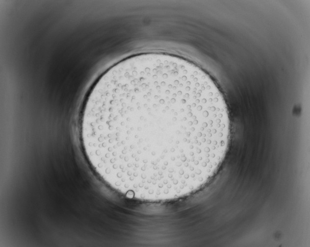 X0000103931517200810311505