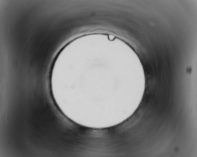 X0000103931518200810311505