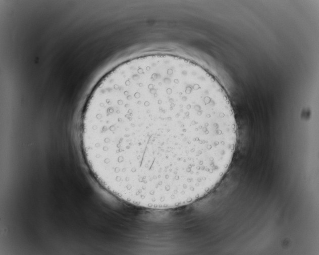 X0000103931519200810311505