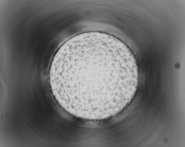 X0000103931521200810311505