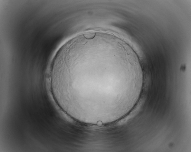 X0000103931522200810311505